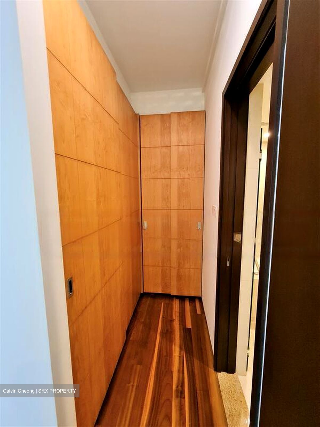 The Cathay Residence (D9), Apartment #464404321